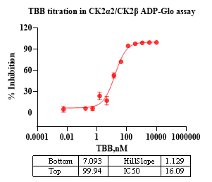CK2α2/CK2β Protein