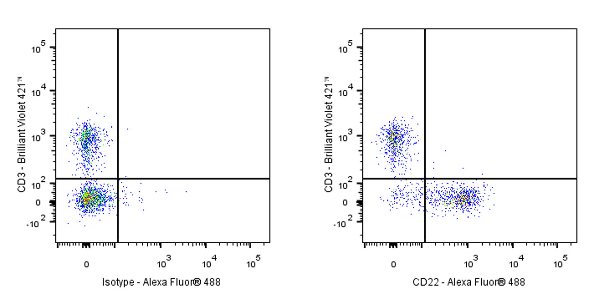 Invivo Anti-Mouse CD22 Recombinant mAb