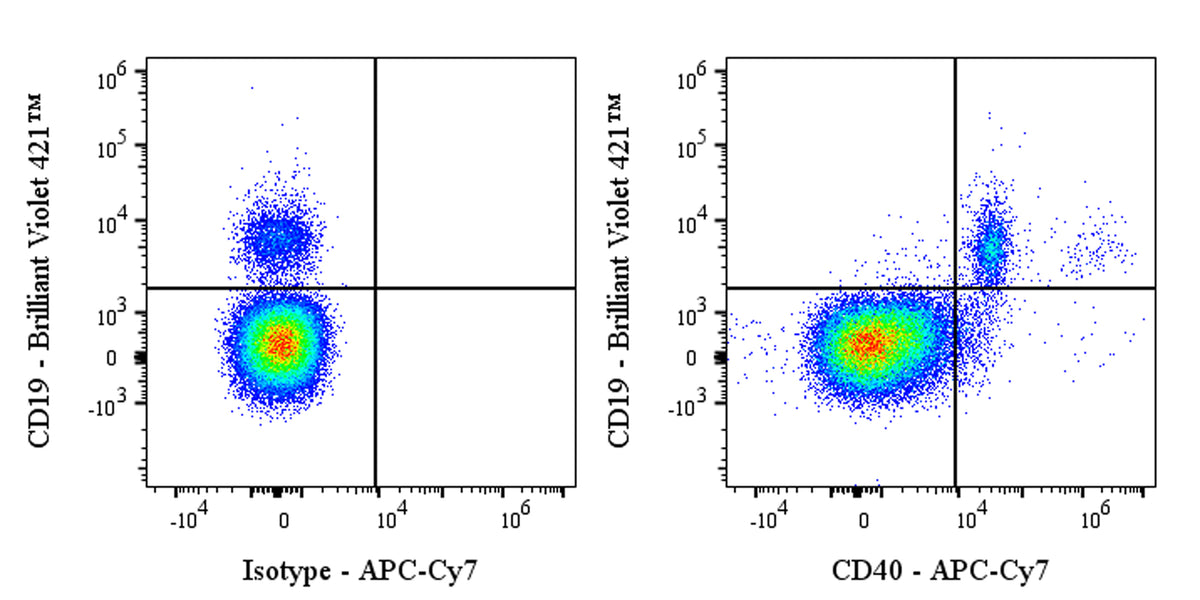 APC-Cy7 Rabbit Anti-Human CD40 Antibody (S-145-45)