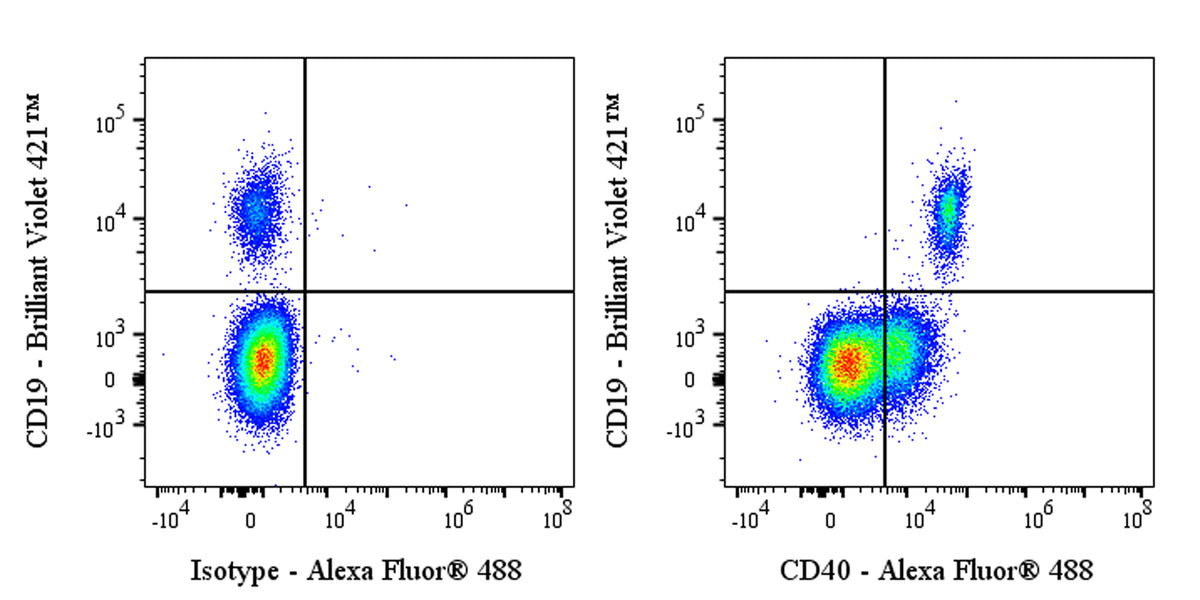 Alexa Fluor® 488 Human Anti-Human CD40 Antibody (ABBV-323)