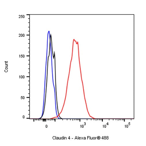 Claudin 4 Recombinant Rabbit mAb (SDT-814-53)