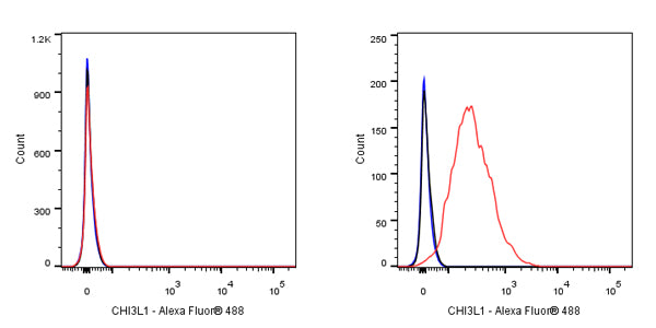 CHI3L1 Recombinant Rabbit mAb (S-324-38)