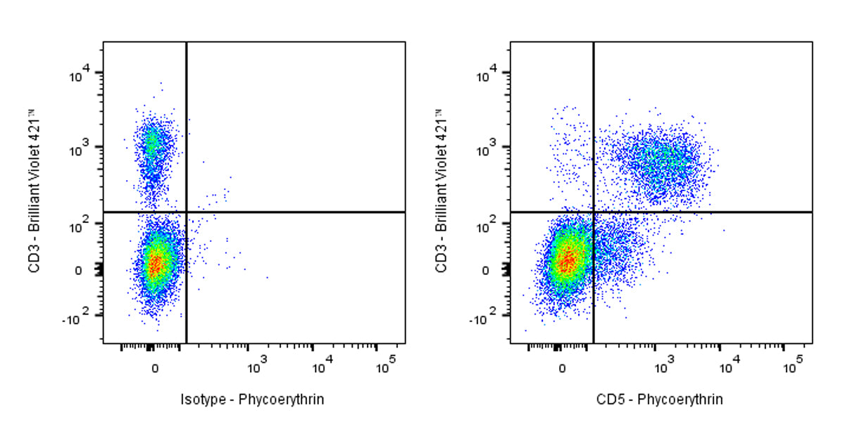 PE Rat Anti-Mouse CD5 Antibody (53-7.3)