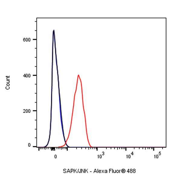 SAPK/JNK Rabbit Polyclonal Antibody
