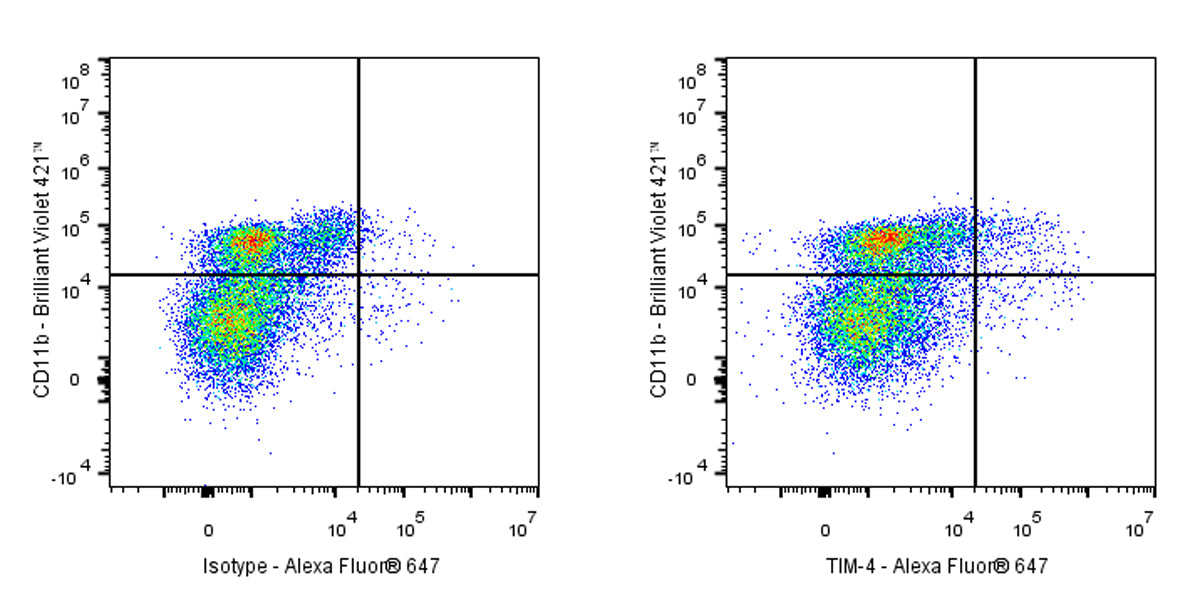 Rat Anti-Mouse TIM-4 Antibody (S-R685)
