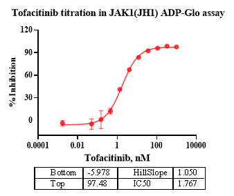 JAK1(JH1) Protein