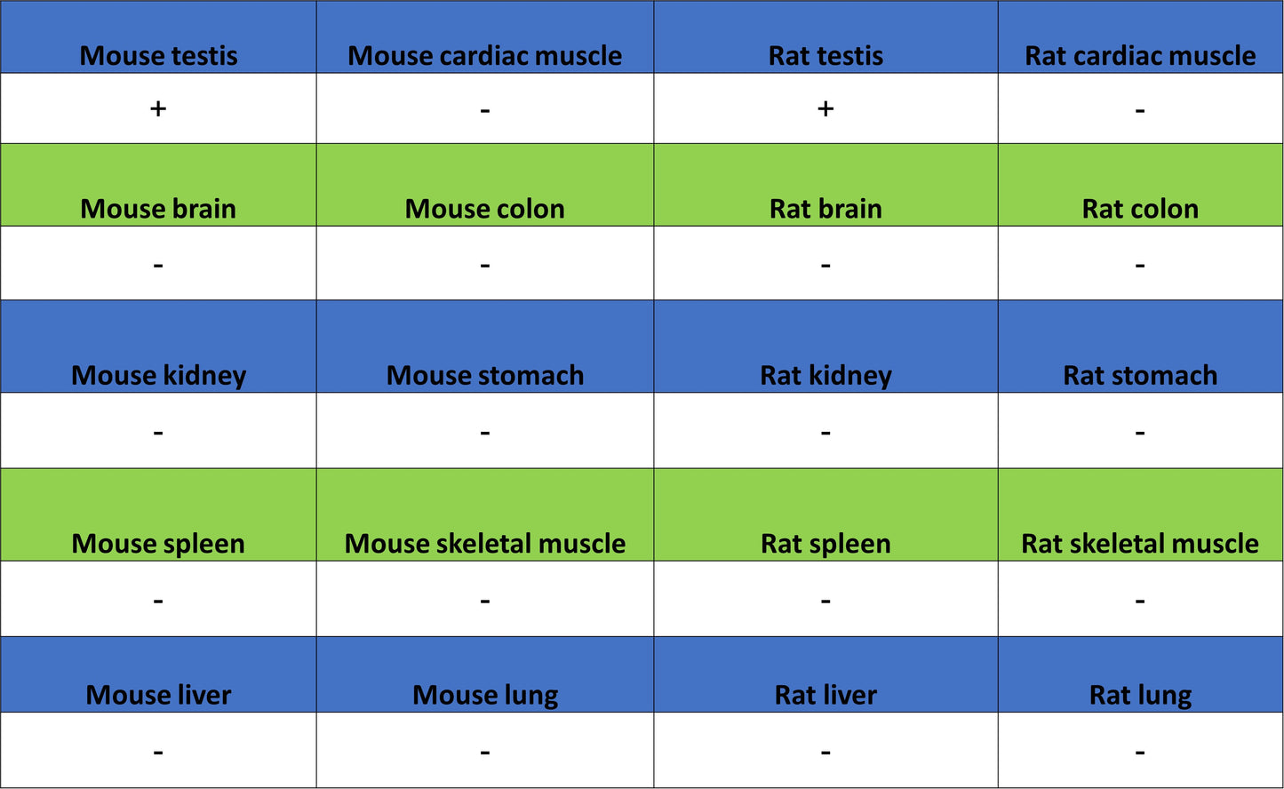 Inhibin alpha Recombinant Rabbit mAb (SDT-3212-24)