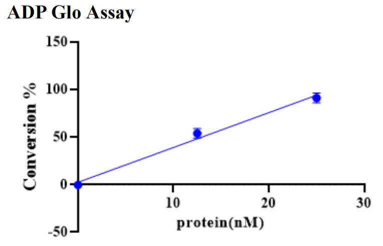 p85/p110 His&Strep II Tag Protein, Human