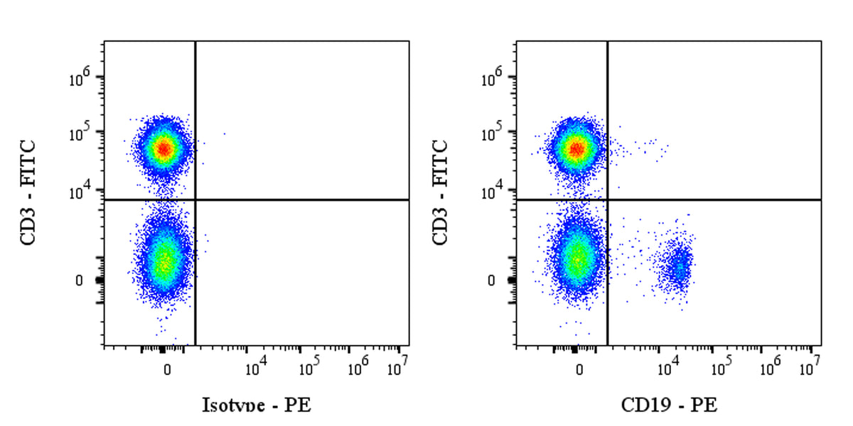 PE Mouse Anti-Human CD19 Antibody (4G7)