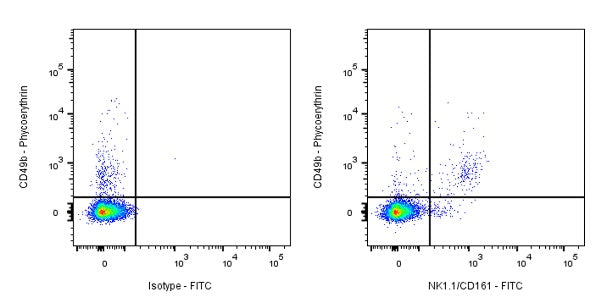 FITC Rabbit Anti-Mouse NK1.1/CD161 Antibody (S-428-32)