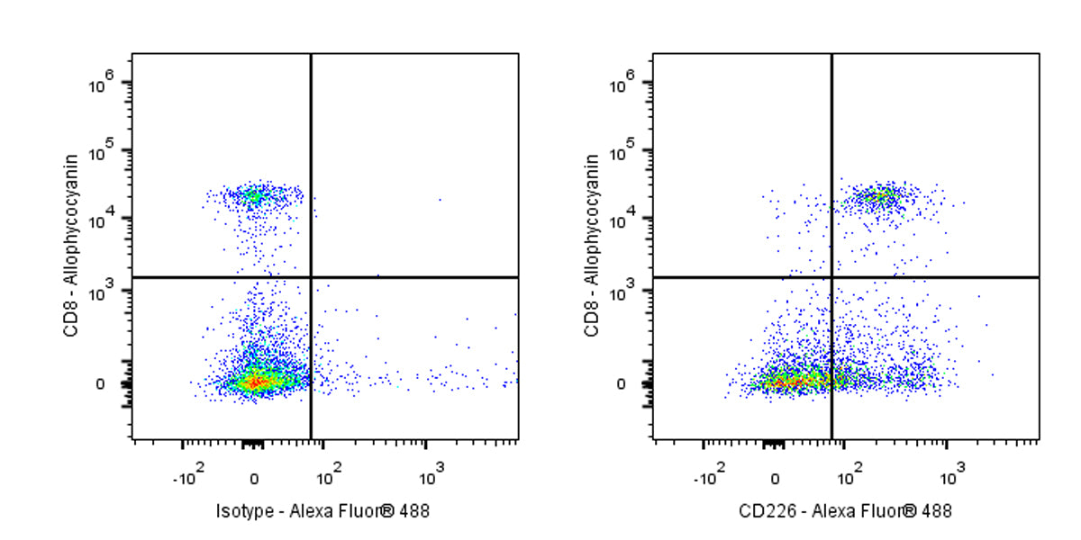Alexa Fluor® 488 Rat Anti-Mouse CD226 Antibody (S-R625)