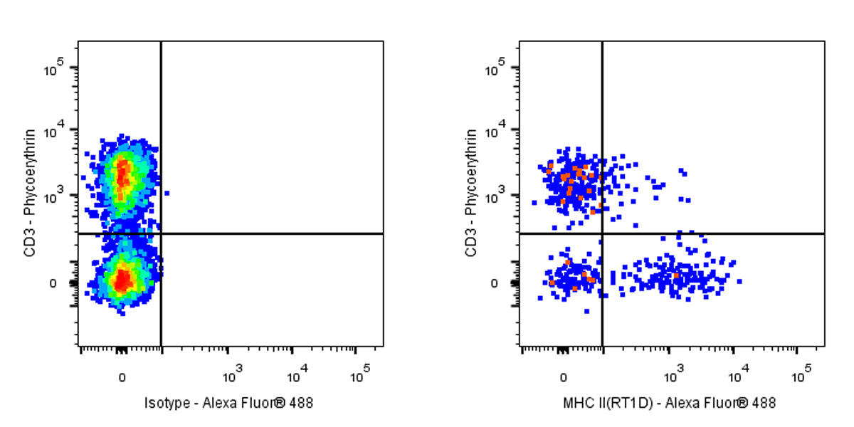 Alexa Fluor® 488 Mouse Anti-Rat MHC II (RT1D) Antibody (OX-17)