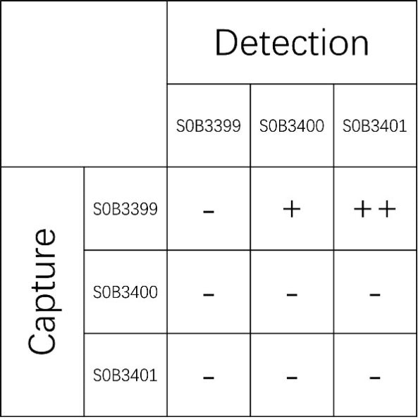 IGF-1 Recombinant Rabbit mAb (SDT-598-309)