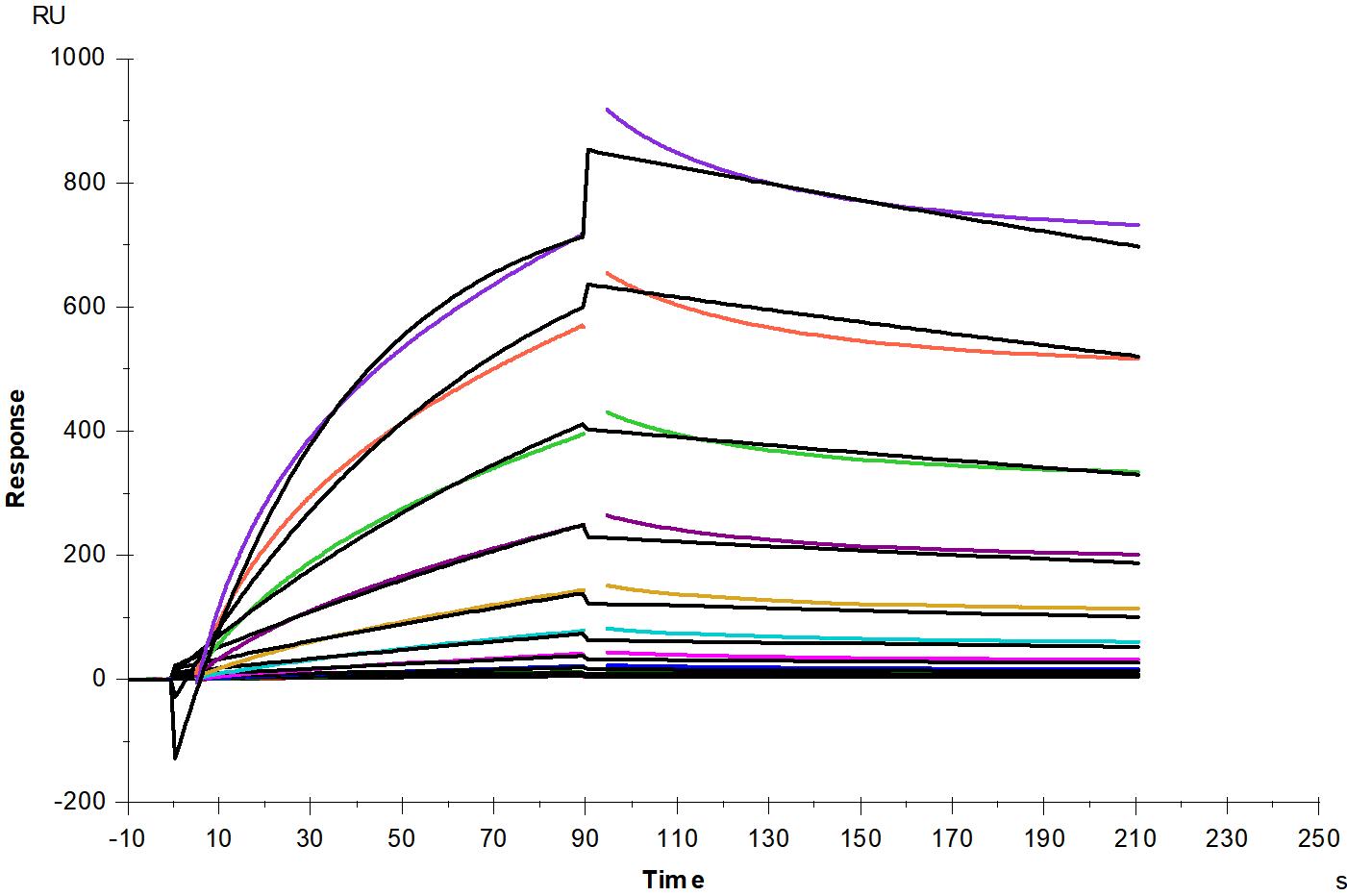 Biotinylated IL-13 His&Avi Tag Protein, Human