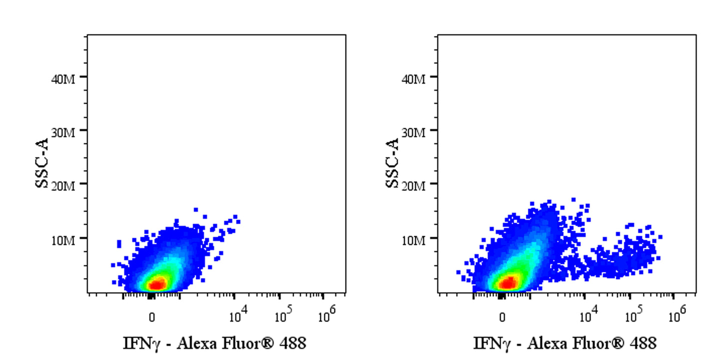 Alexa Fluor® 488 Rat Anti-Mouse IFNγ Antibody (XMG1.2)