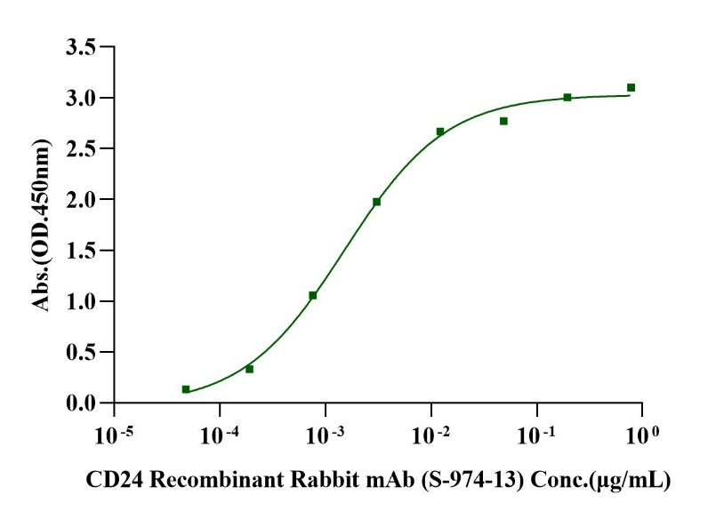 CD24 mFc Chimera Protein, Human