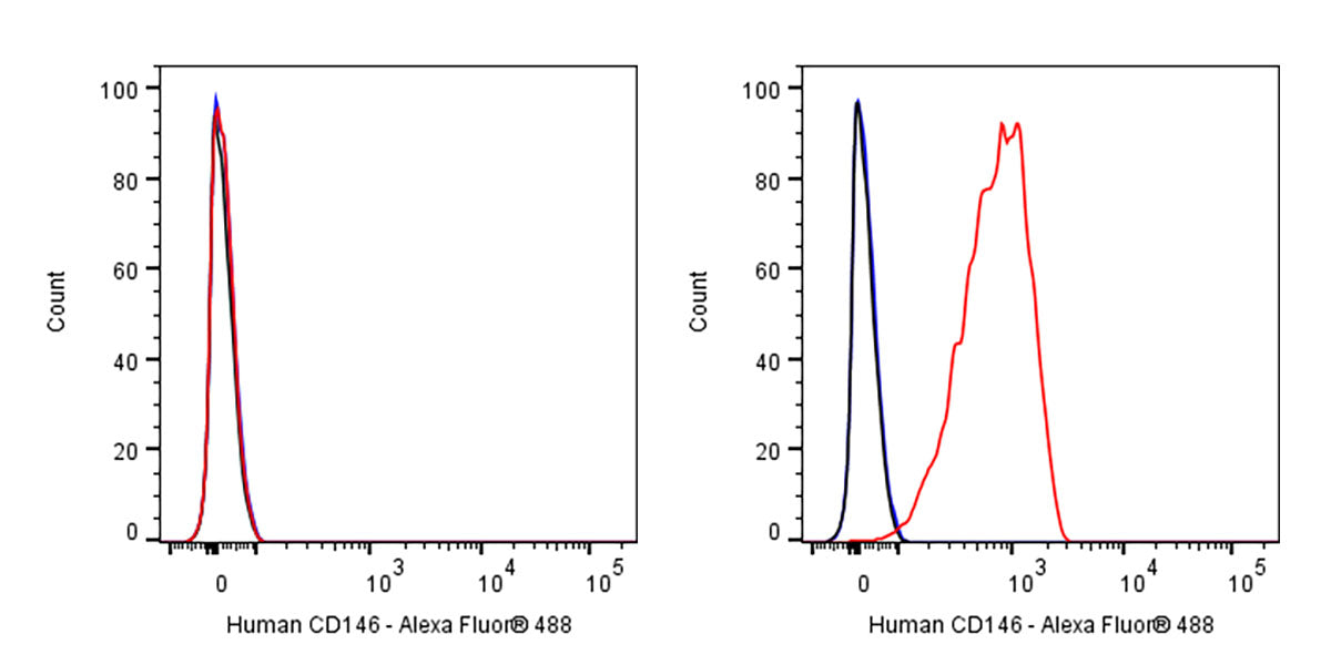 Alexa Fluor® 488 Mouse Anti-Human CD146 Antibody (S-3679)