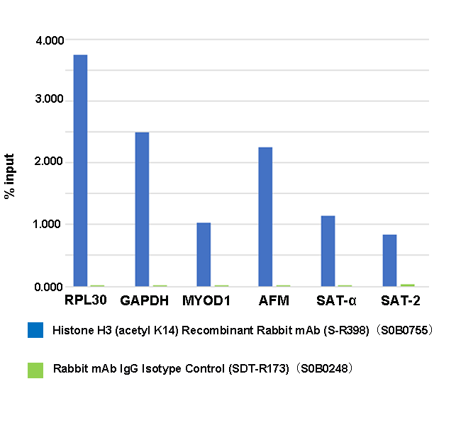 Histone H3 (acetyl K14) Recombinant Rabbit mAb (S-R398)