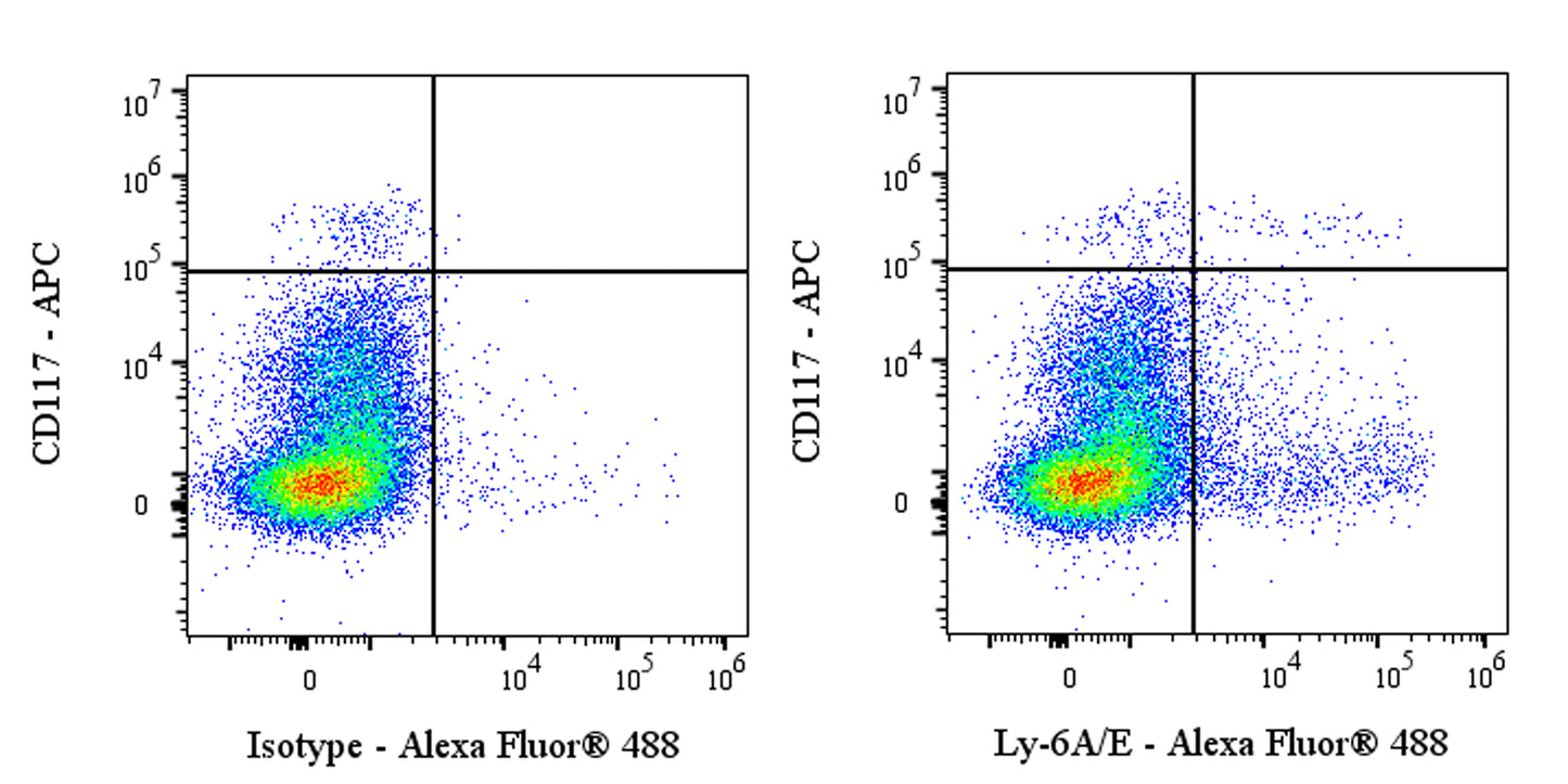 Alexa Fluor® 488 Rat Anti-Mouse Ly-6A/E Antibody (D7)