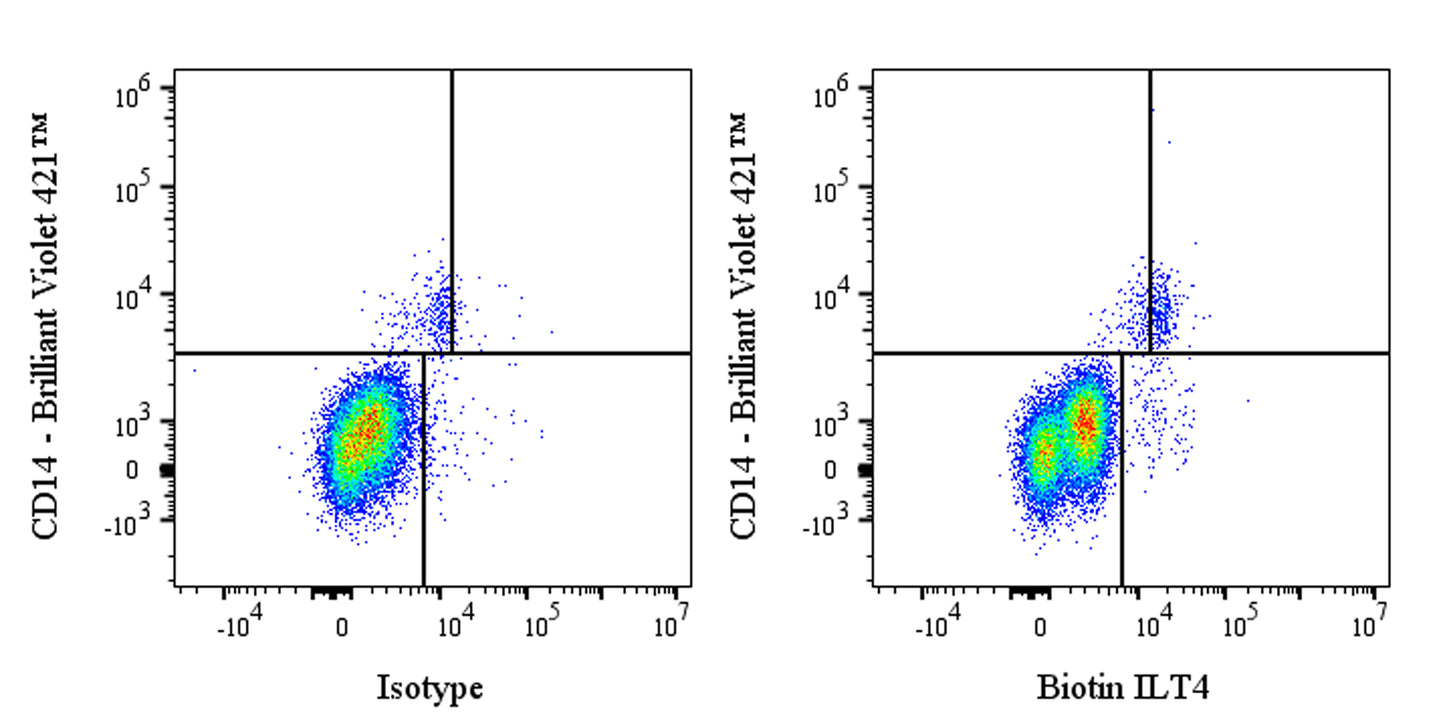 Biotin Rabbit Anti-Human ILT4 (CD85d) Antibody (S-281-50)