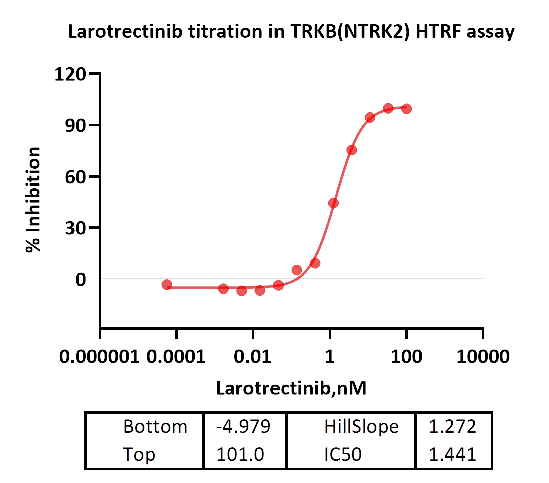 TRKB(NTRK2) Protein