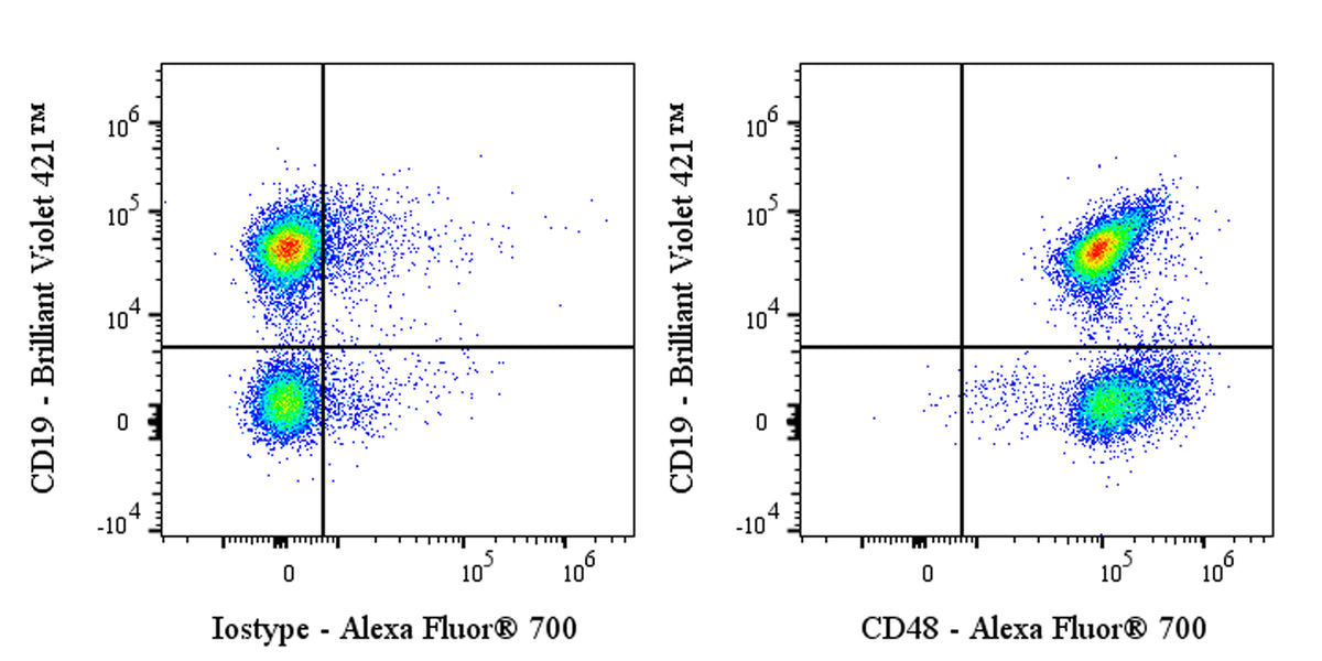 Alexa Fluor® 700 Armenian hamster Anti-Mouse CD48 Antibody (HM48-1)