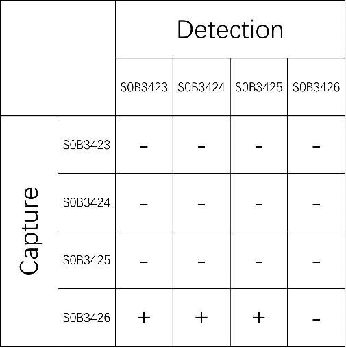 Mouse IFN-γ Recombinant Rabbit mAb (SDT-1562-10)
