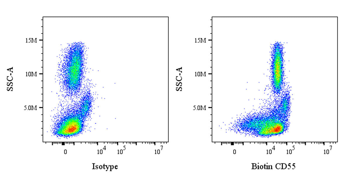 Biotin Mouse Anti-Human CD55 Antibody (S-3120)