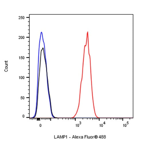 LAMP1 Recombinant Rabbit mAb (Alexa Fluor® 488 Conjugate) (SDT-405-39)