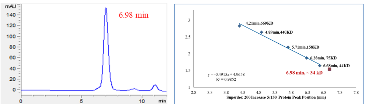 ACVR1(Q207E) Protein, Human
