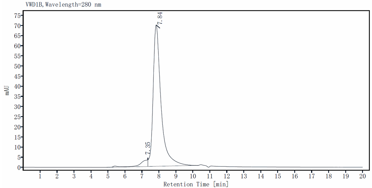 NFKB1 Protein, Human