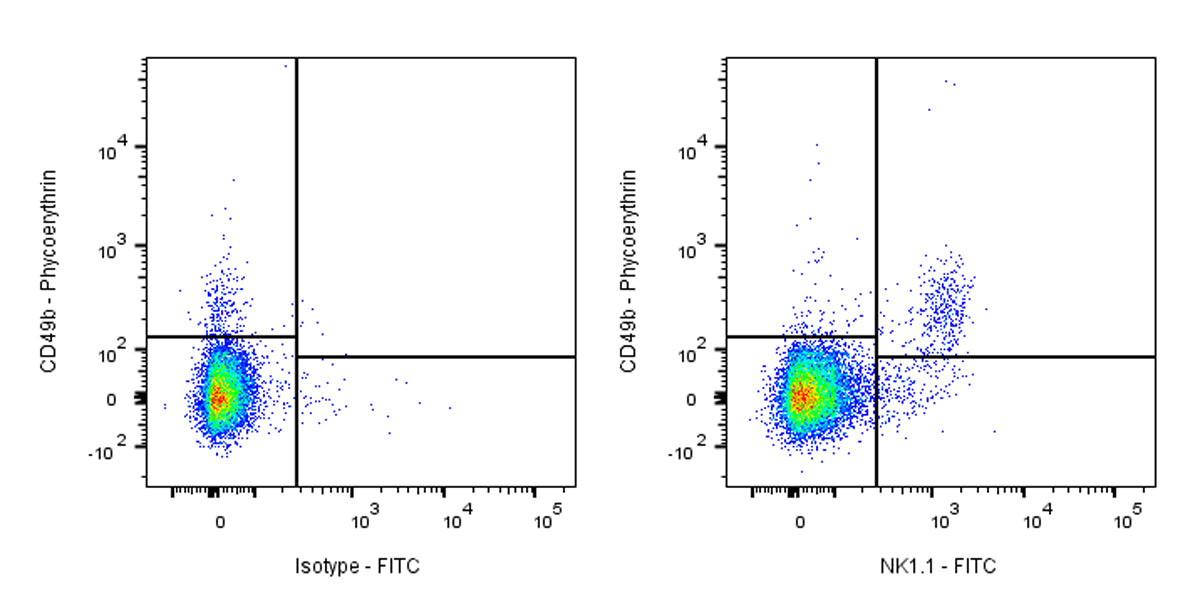 FITC Mouse Anti-Mouse NK1.1 Antibody (PK136)