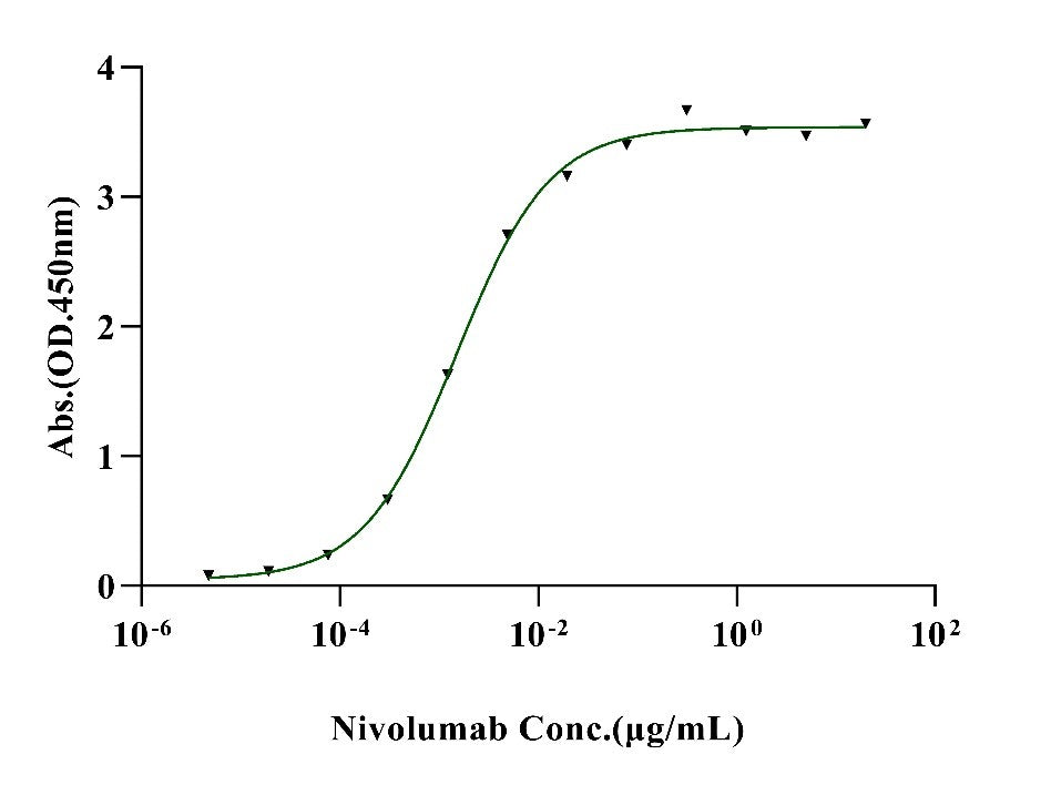 Biotinylated PD-1 His&Avi Tag Protein, Cynomolgus