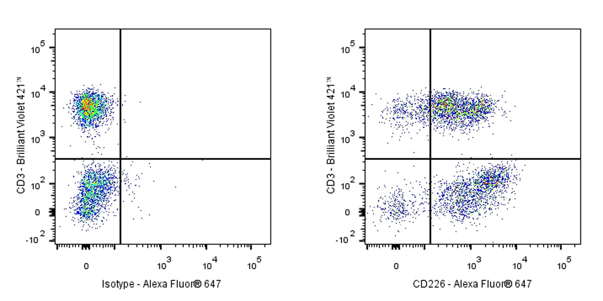 Mouse Anti-Human CD226 Antibody (DX11)