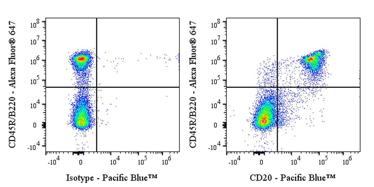 Pacific Blue Mouse Anti-Mouse CD20 Antibody (S-3682)