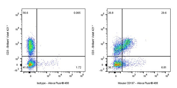 Rat Anti-Mouse CD197 (CCR7) Antibody (4B12)