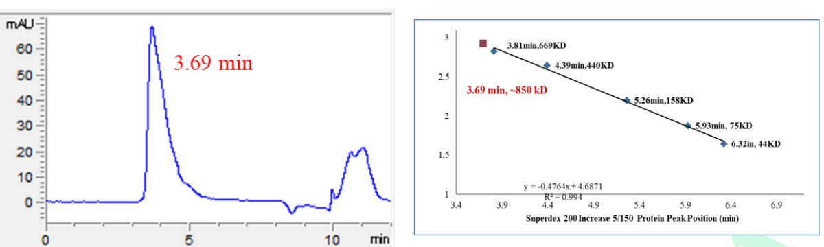 MLKL His&GST Tag Protein, Human