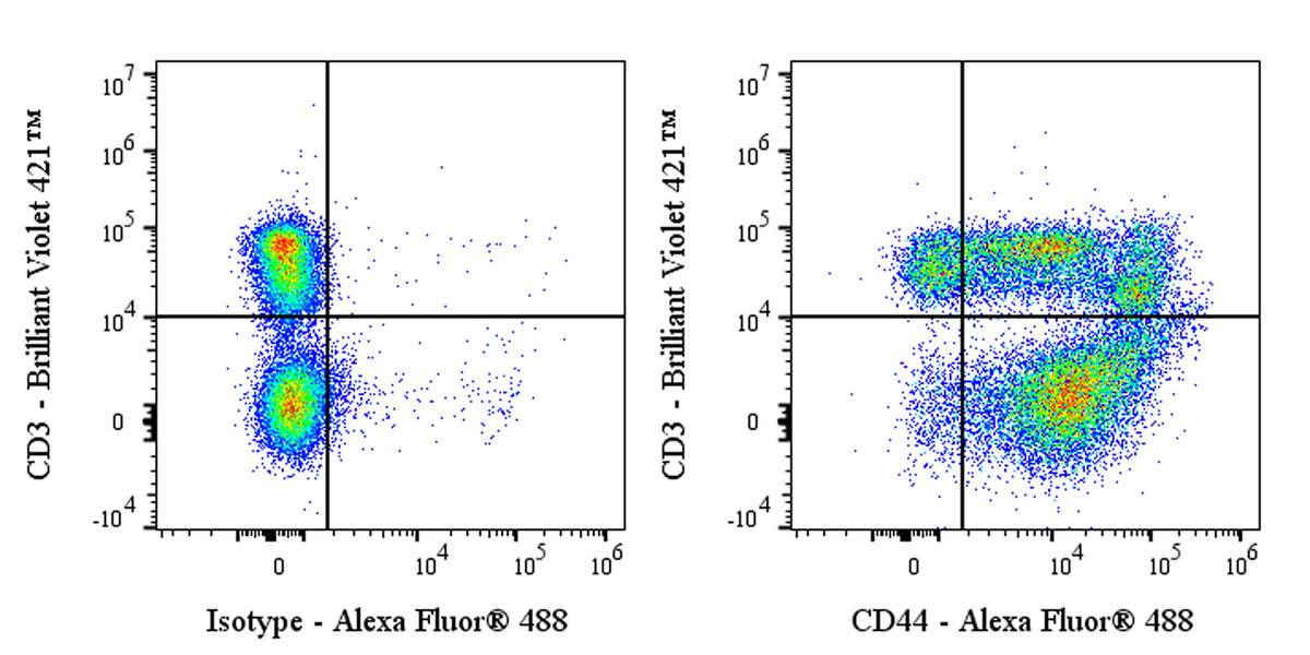 Invivo Anti-Mouse CD44 Recombinant mAb