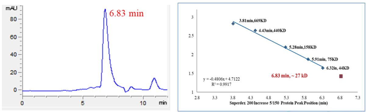 Cyclin A2 Protein, Human