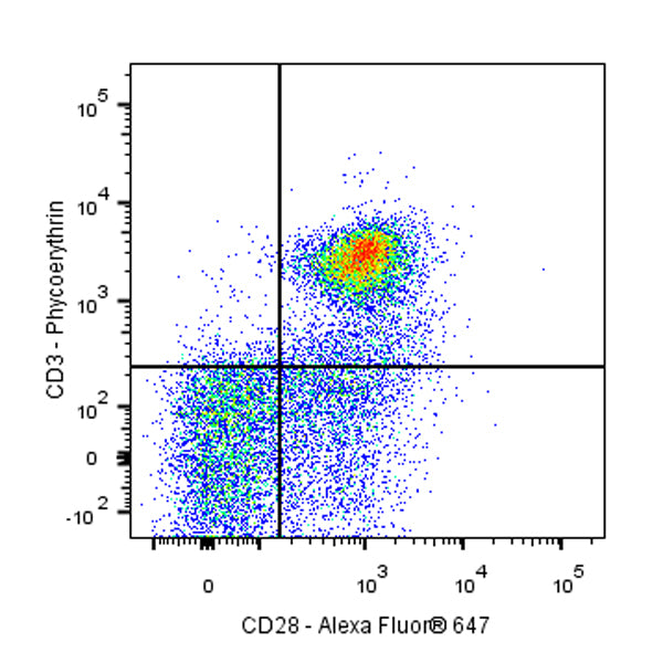 Mouse Anti-Rat CD28 Antibody (JJ319)
