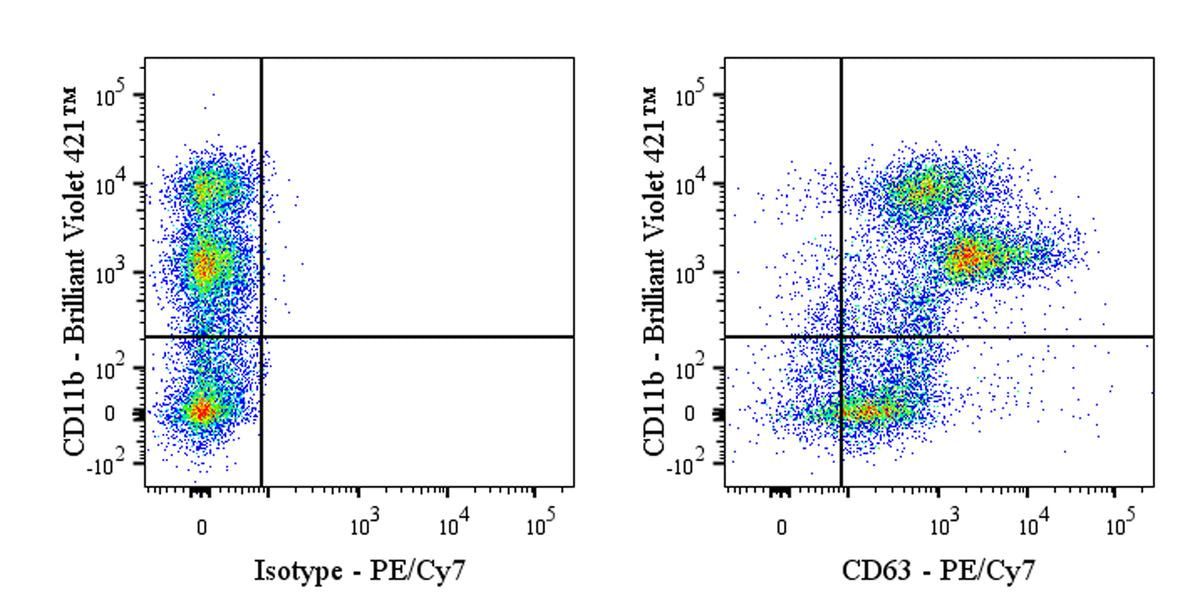 PE-Cy7 Rat Anti-Mouse CD63 Antibody (S-R667)