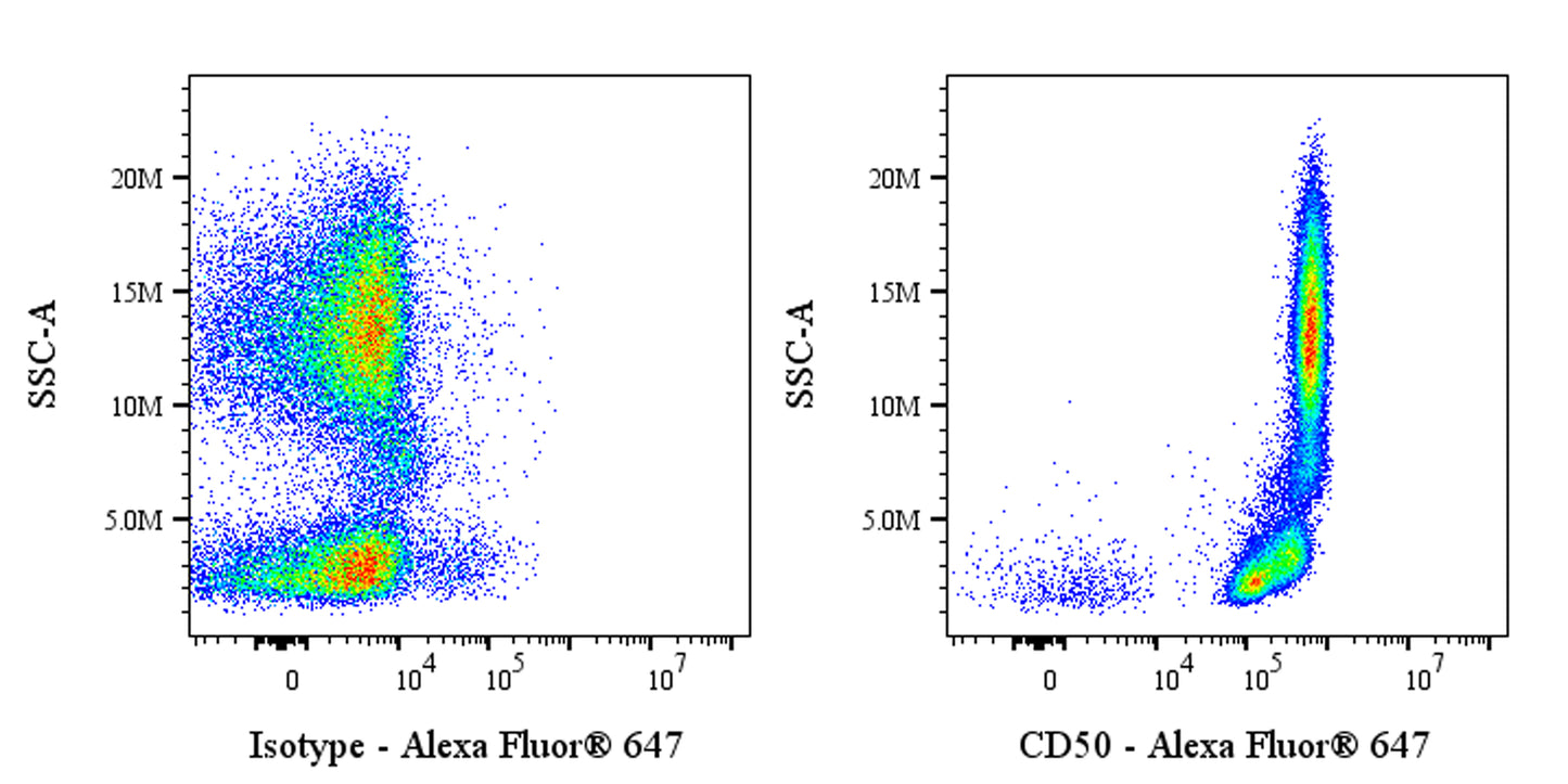 Alexa Fluor® 647 Mouse Anti-Human CD50 Antibody (S-4993)