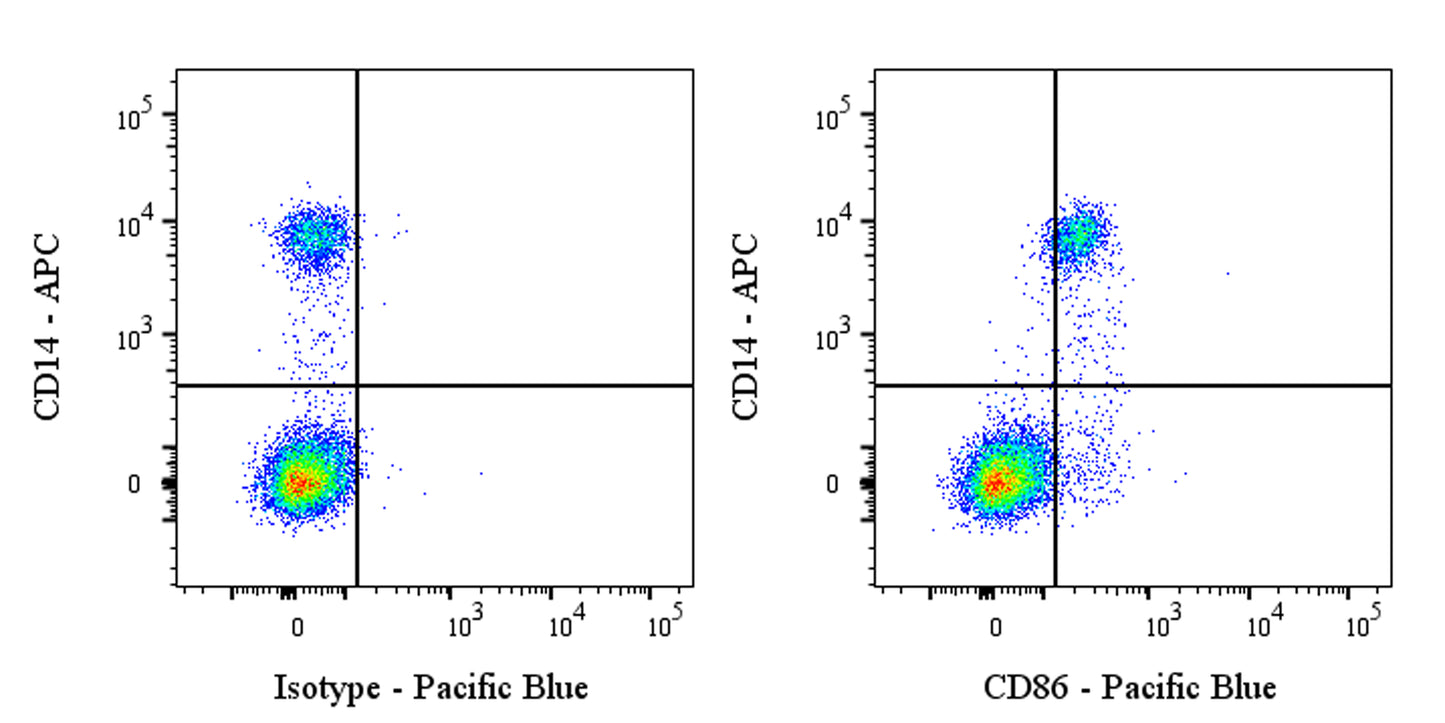 Pacific Blue Rabbit Anti-Human CD86 Antibody (S-990-1)