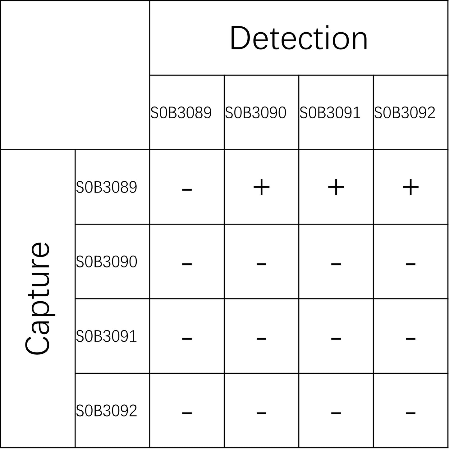Collagen IV Recombinant Rabbit mAb (SDT-150-74)