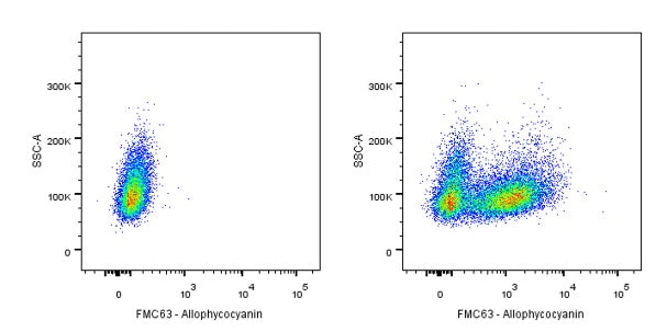 Anti-FMC63 Recombinant Rabbit mAb (APC Conjugate) (S-2163-77)