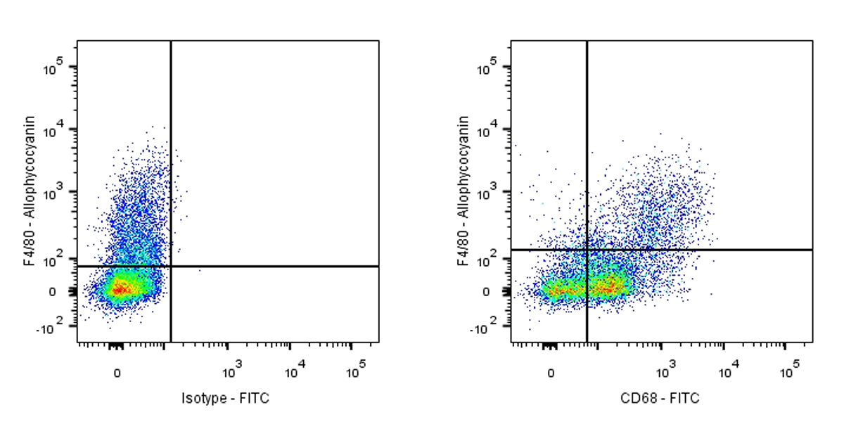 FITC Rat Anti-Mouse CD68 Antibody (FA-11)
