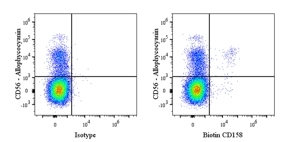 Biotin Mouse Anti-Human CD158 Antibody (S-2918)
