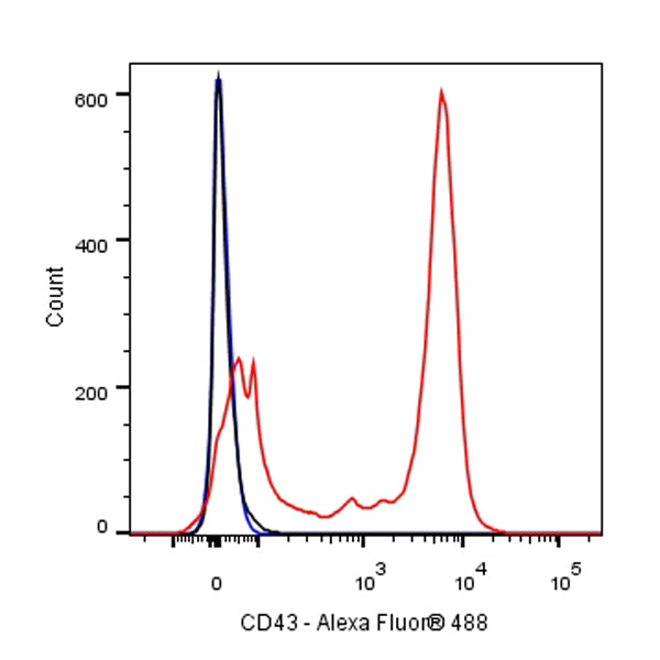 Mouse Anti-Rat CD43 Antibody (W3/13)