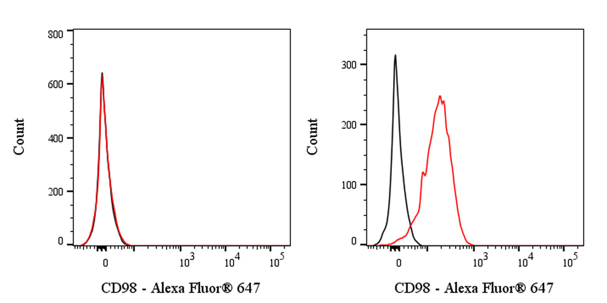Mouse Anti-Human LAT1/CD98 complex Antibody (S-3441)