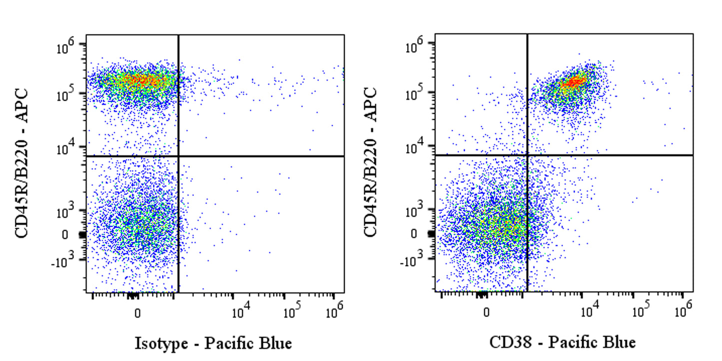 Pacific Blue Rat Anti-Mouse CD38 Antibody (S-3262)